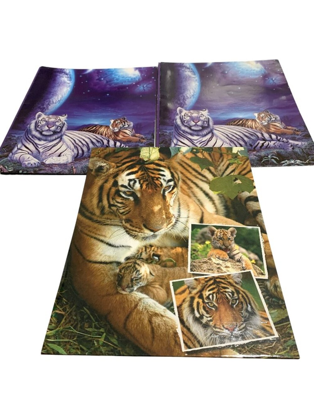 Vintage 2 Mead Christian Riese Lassen Tiger Theme Pocket Folders and 1 Class Act
